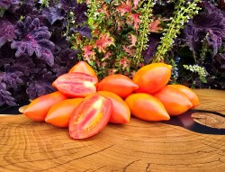 sunkissed peach5